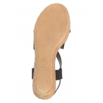 Ciabattino 2383 Ciabattino 2383