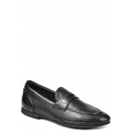 Итальянские мужские туфли GiamPieroNicola 36512